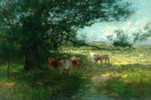 Dans les prés, soir